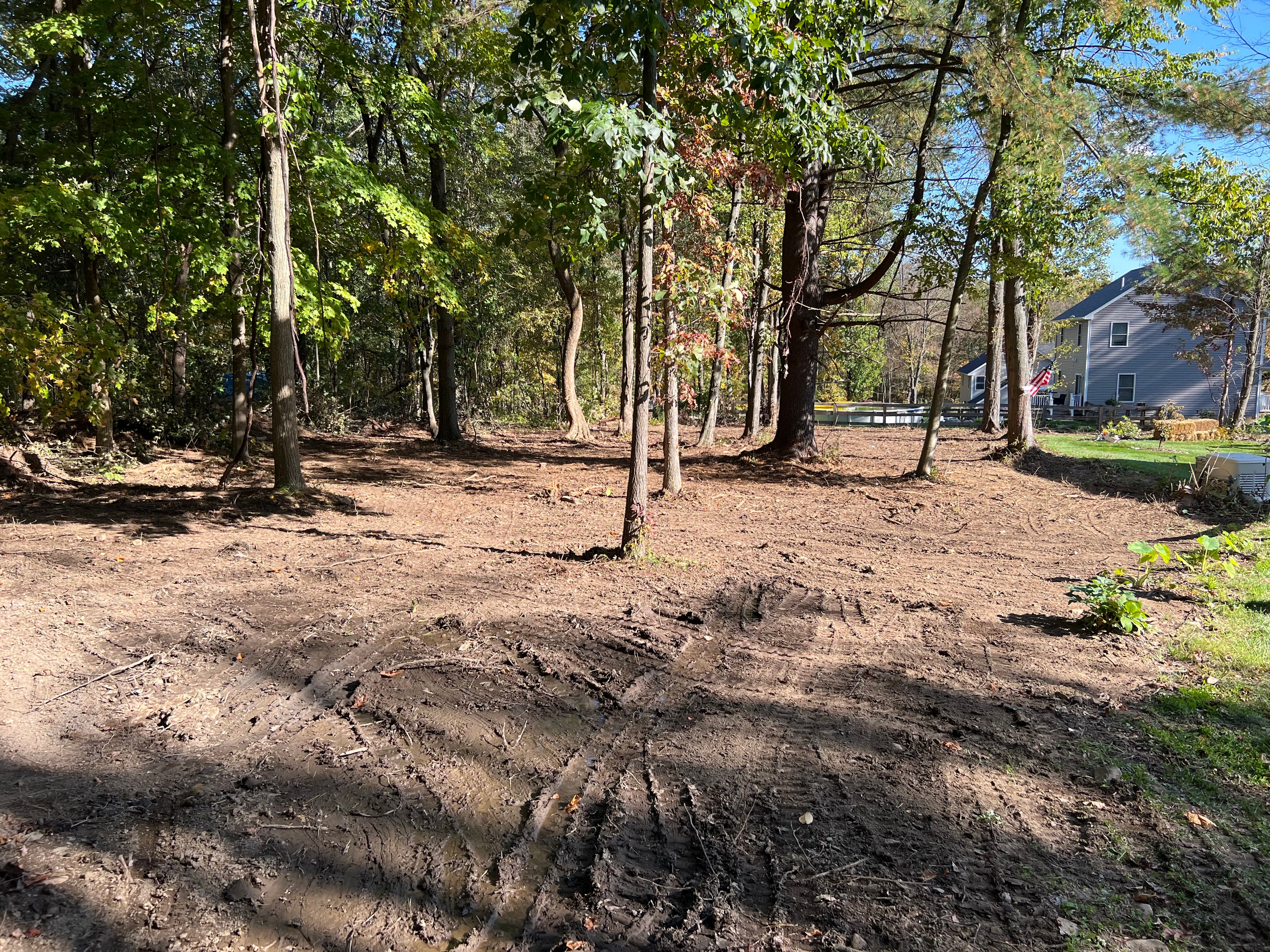 Brush & Land Clearing