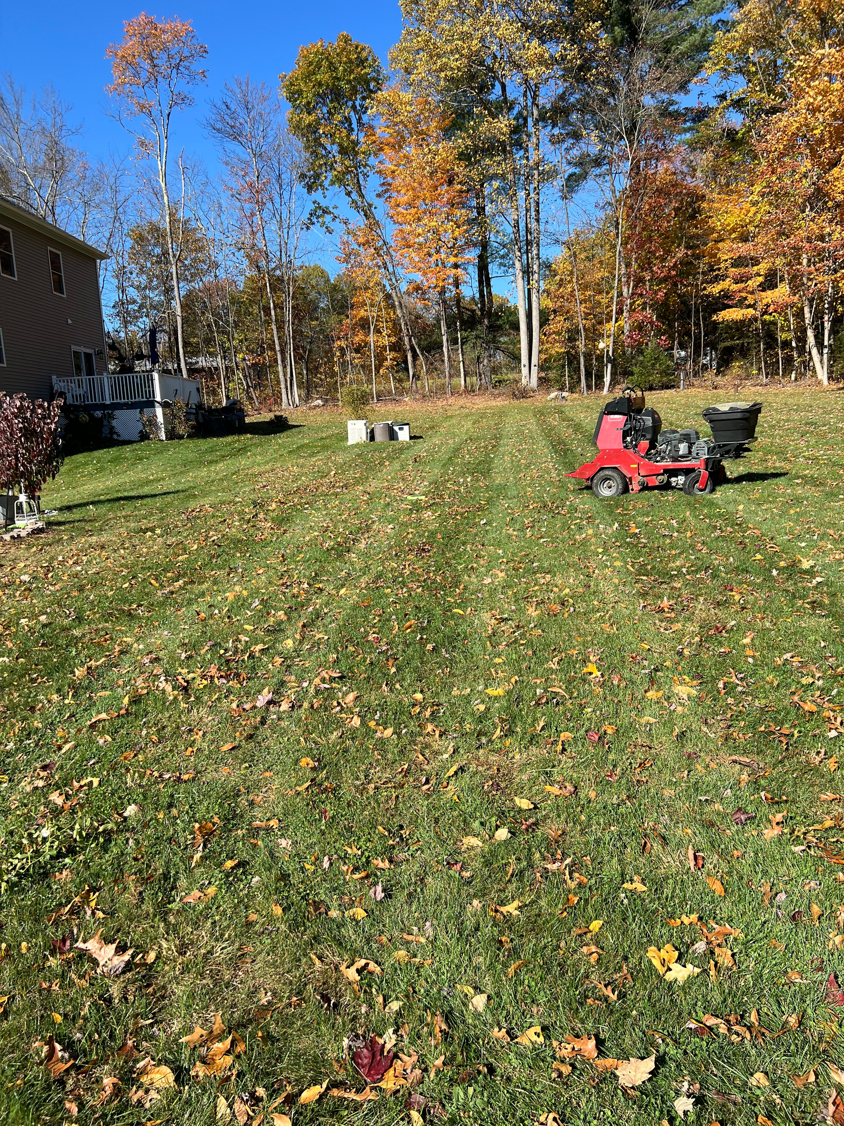 Lawn Care