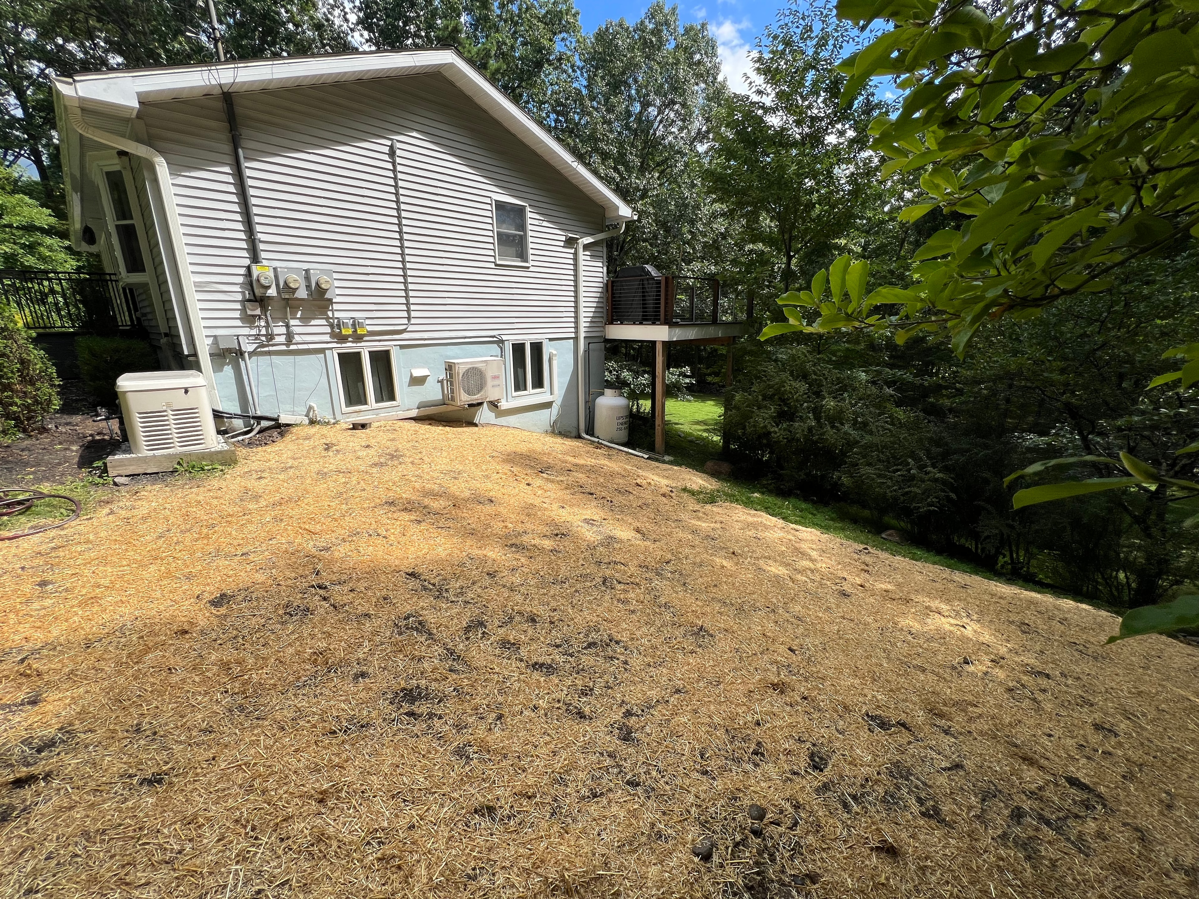 New Lawn Installation