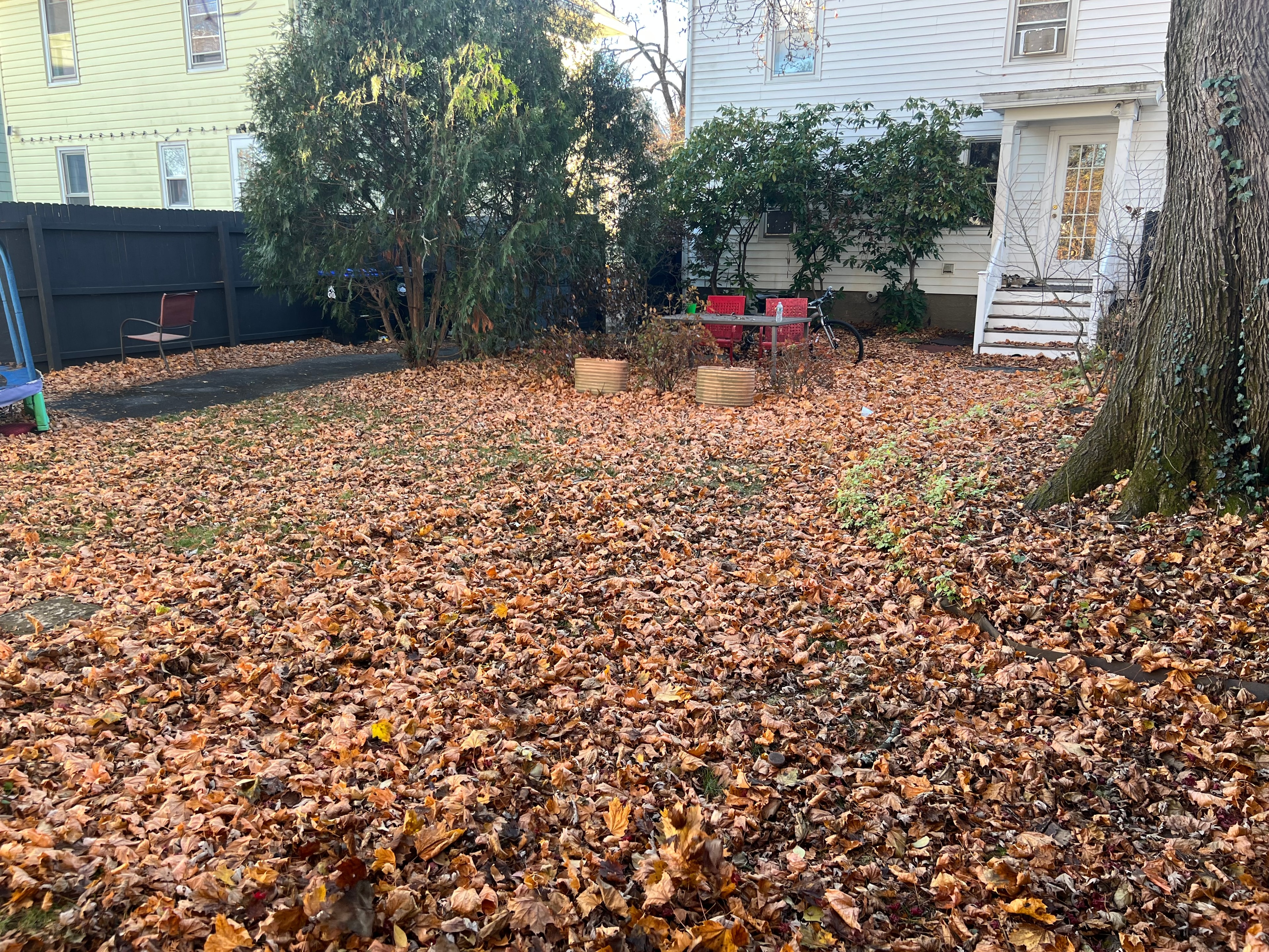 Leaf Removal & Fall Cleanup