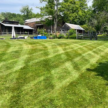 Lawn Maintenance